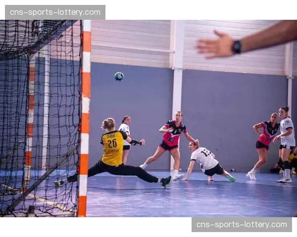 研究报告：顶级手球赛事为东欧主办城市带来显著旅游收益